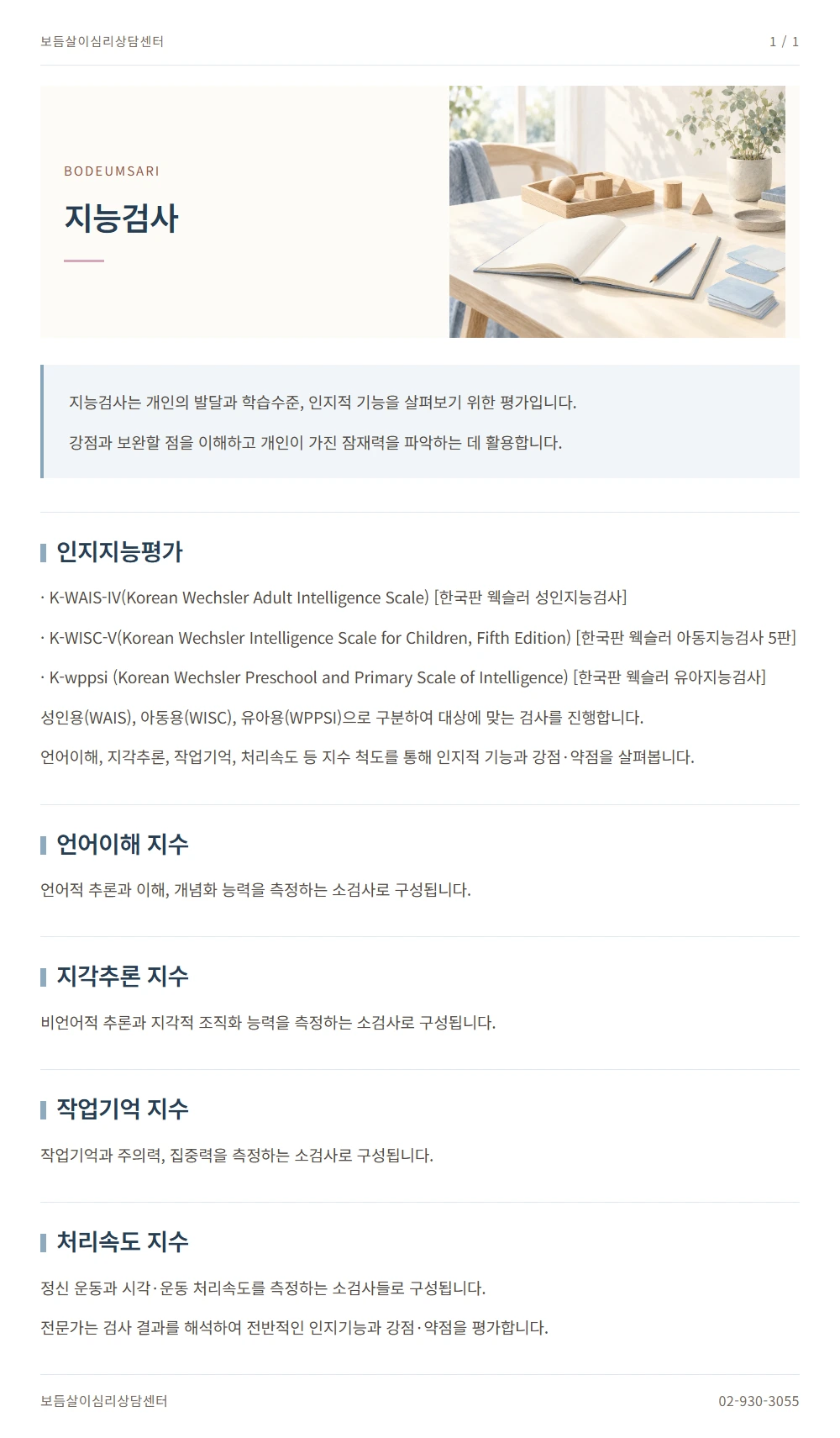 지능검사 안내 1
